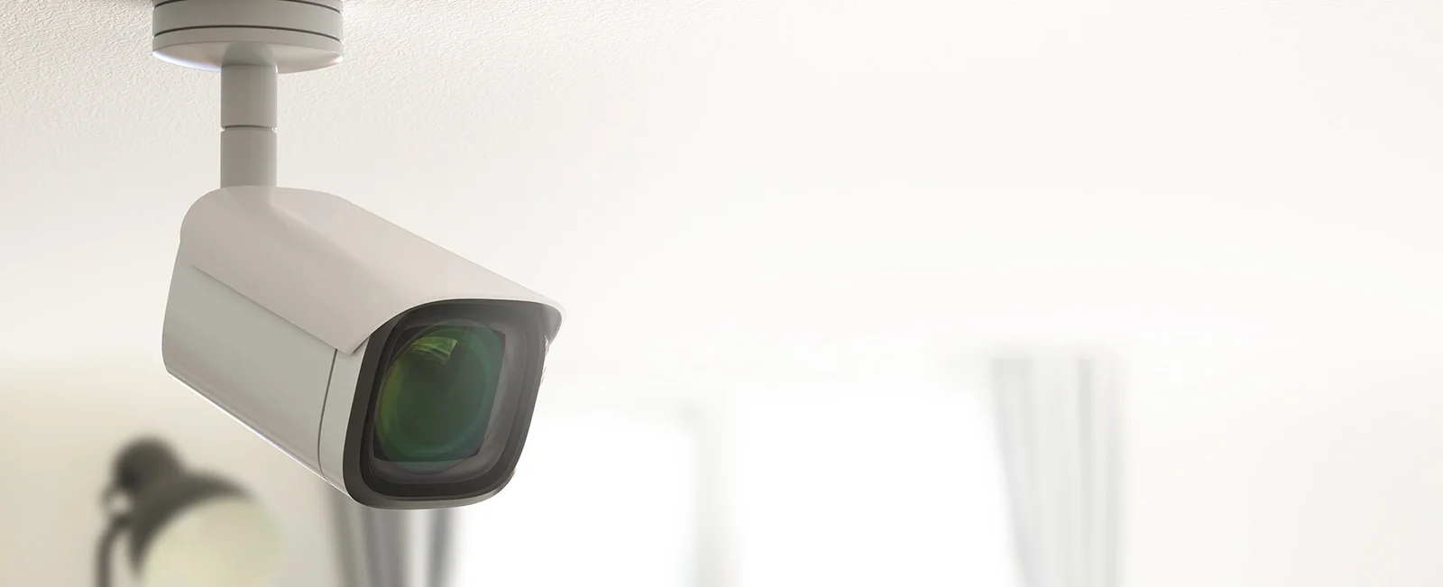 Reach Out To Our Services